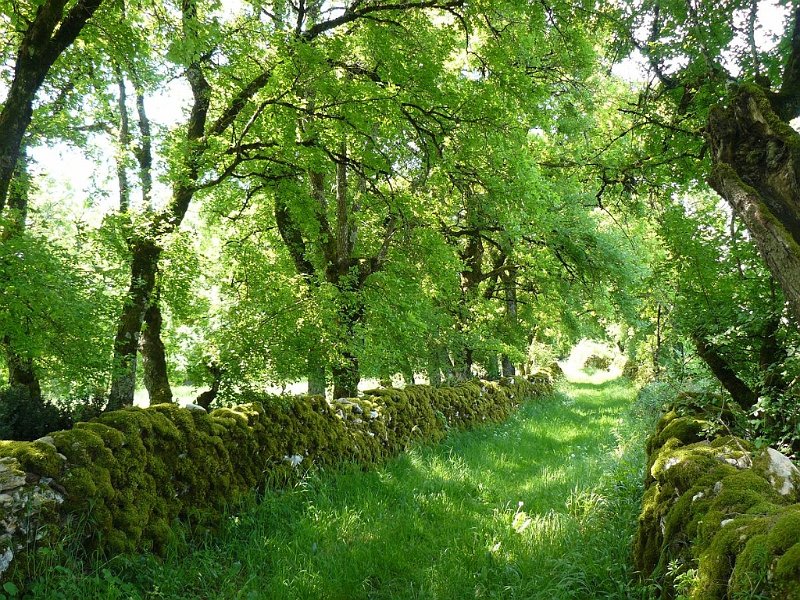 2008 05 Séjour à Martel 25